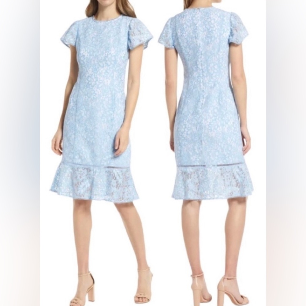 New Rachel Parcell Short Sleeve Lace Sheath Dress In Bluebell/White #S00